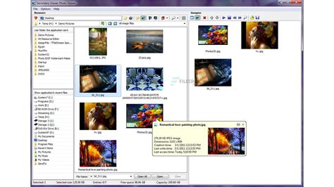 3delite Secondary Display Photo Viewer 